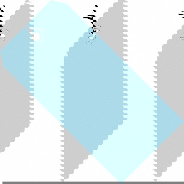 Blank Tag: 4-3/4'' High, Light Blue, Synthetic Paper